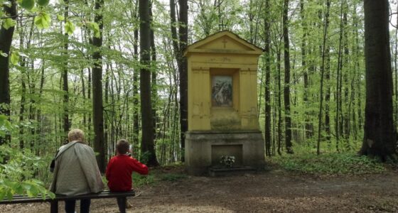 Pielgrzymka do Sanktuariów Ziemi Lubuskiej